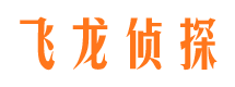 宝坻商务调查